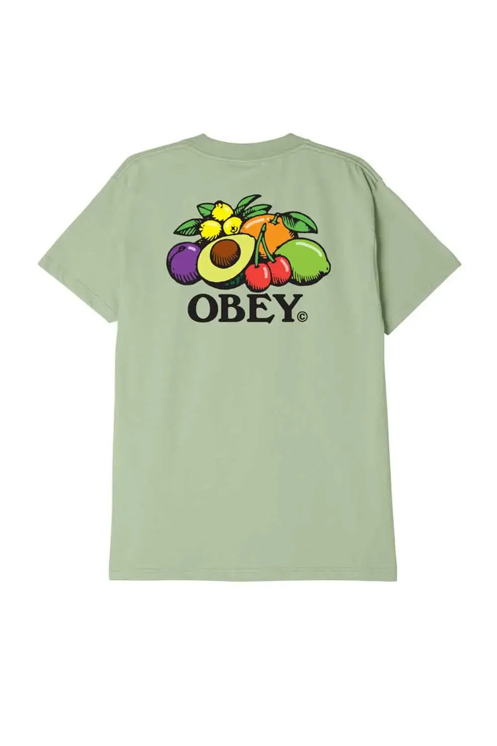 Bowl Of Fruit T-Shirt