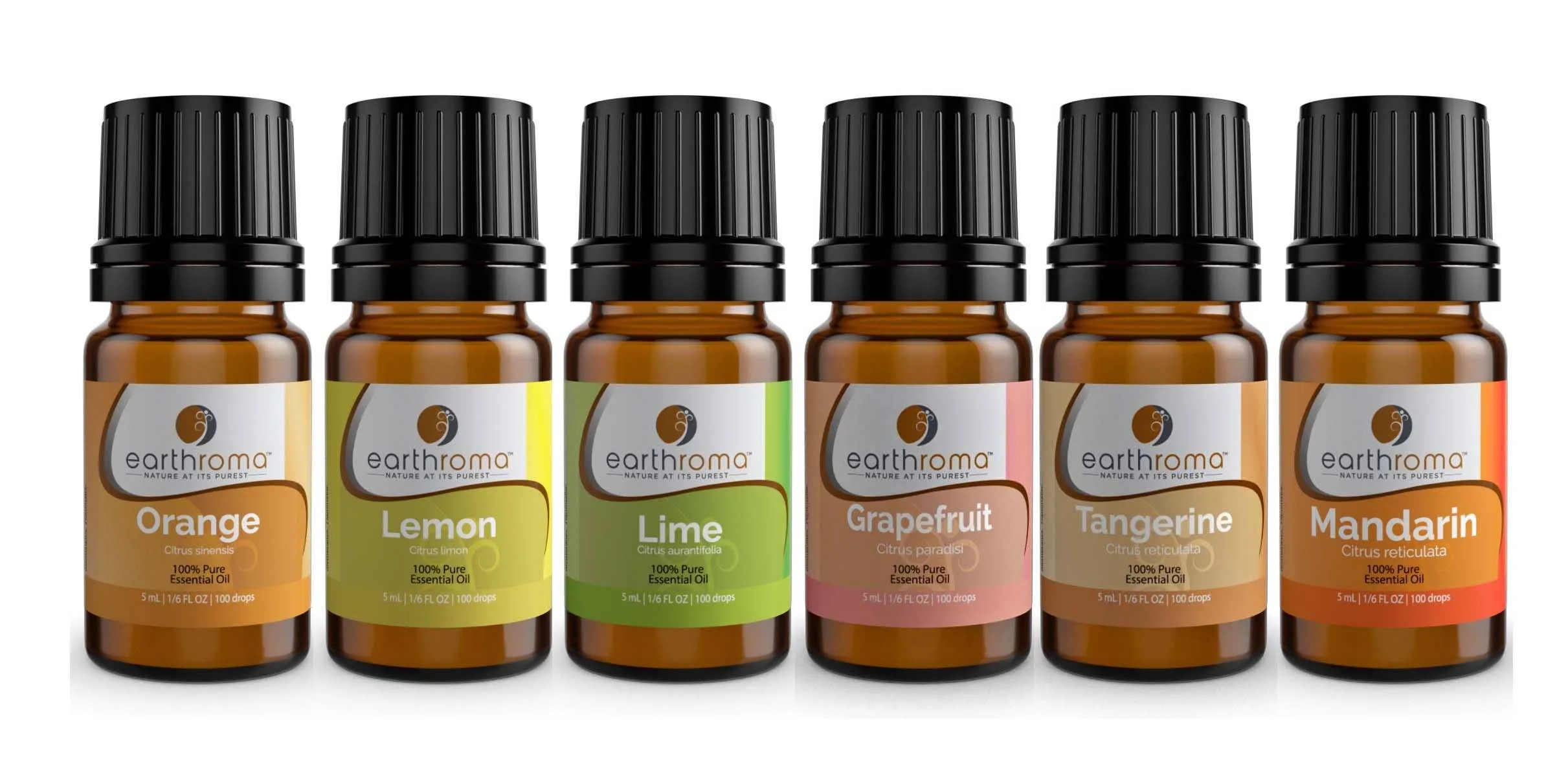 Fruit Essential Oil Gift Set (6 Pack)