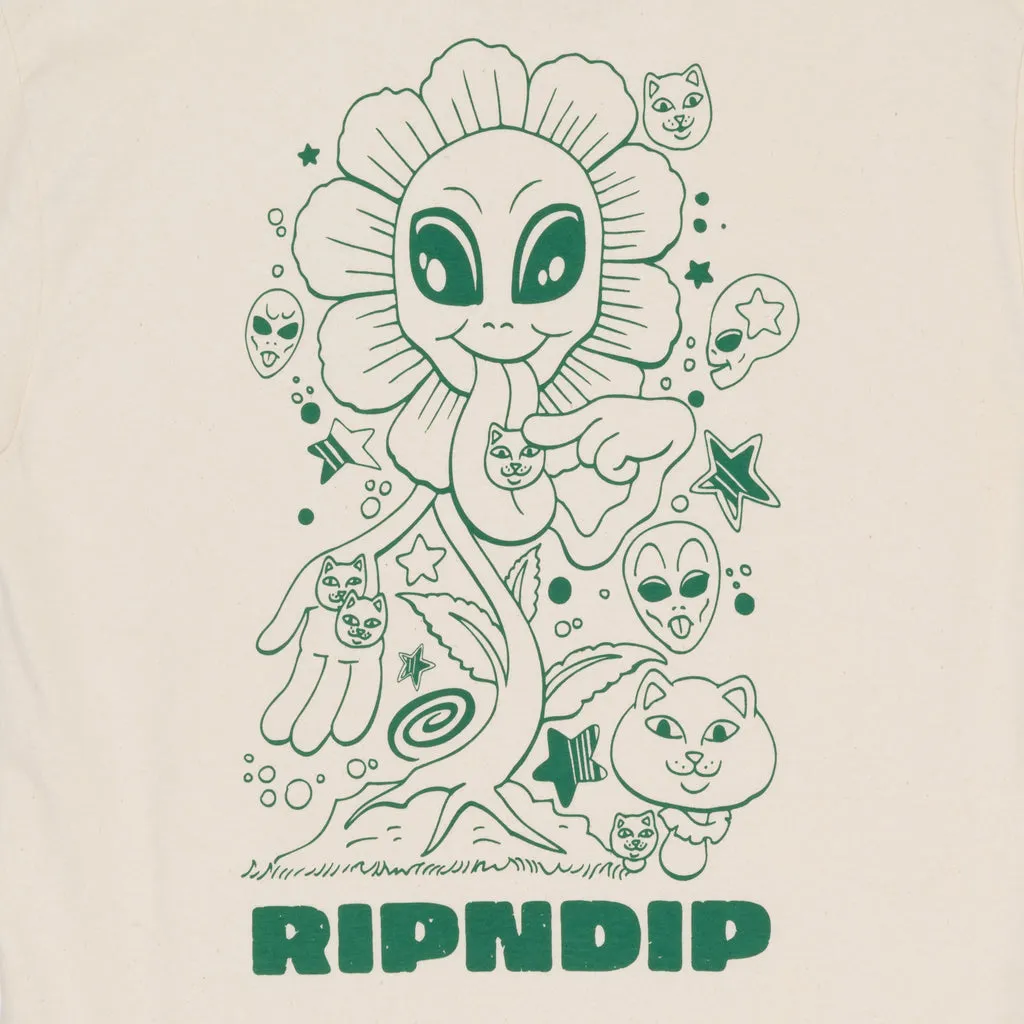 RIPNDIP DANCE FOREVER LS-NATURAL